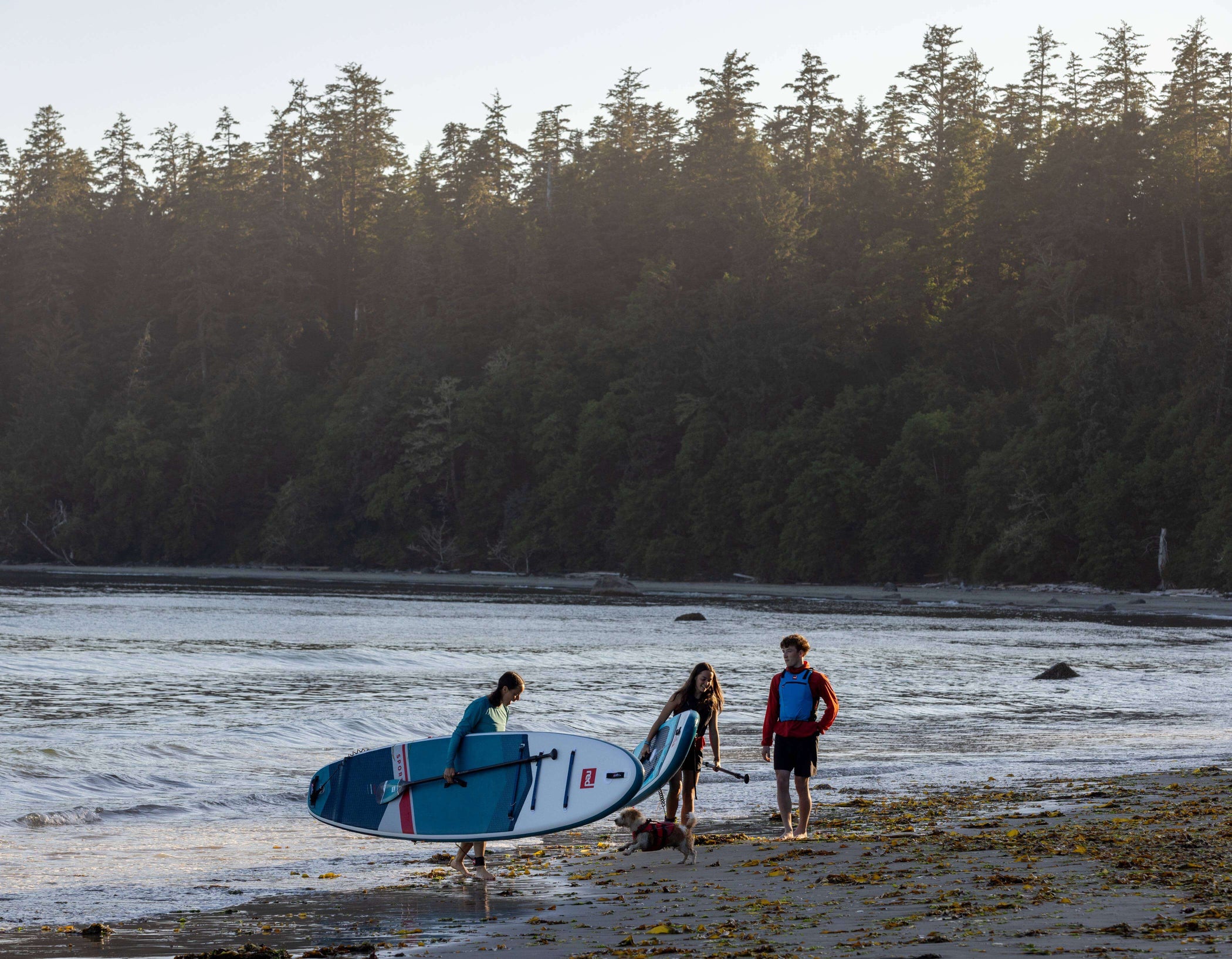 group of paddle boarders exiting the water