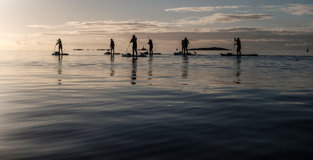 6 Paddle Boarders SUPing toward the sunrise