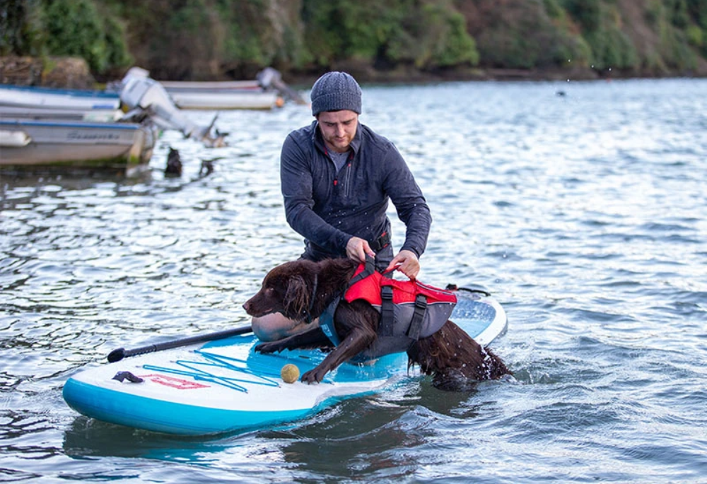 DOG SUP: How To Get Your Dog On A Paddle Board