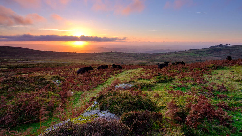 6 Great Places To Go Paddle Boarding On Dartmoor