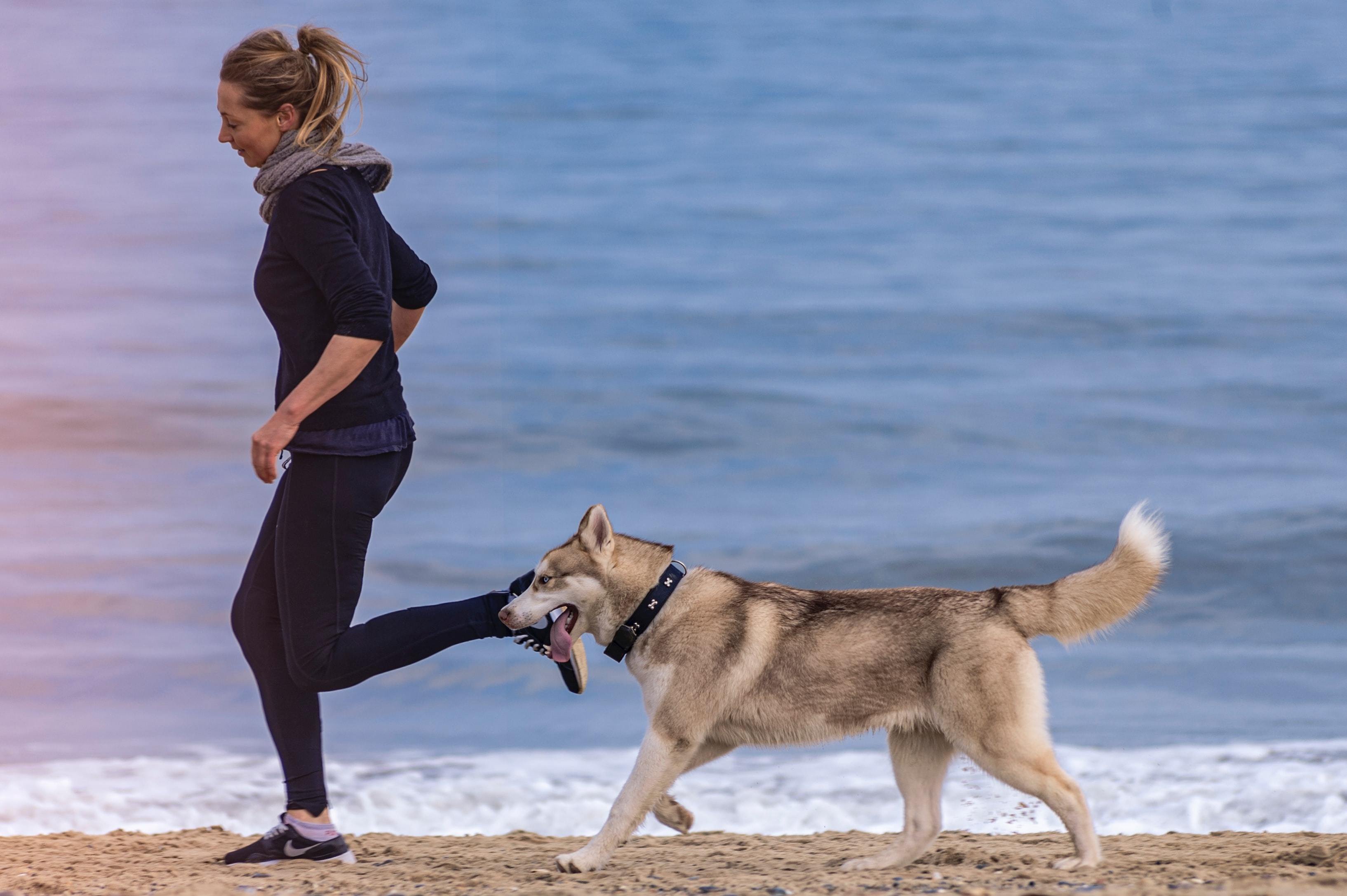 4 Fun Ways To Get Outdoors & Exercise With Your Dog