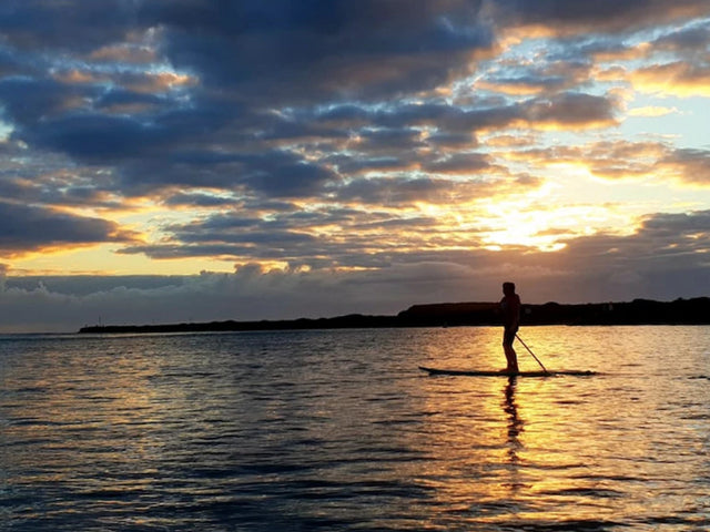Lake Illawarra Exploration Via Stand Up Paddle Board