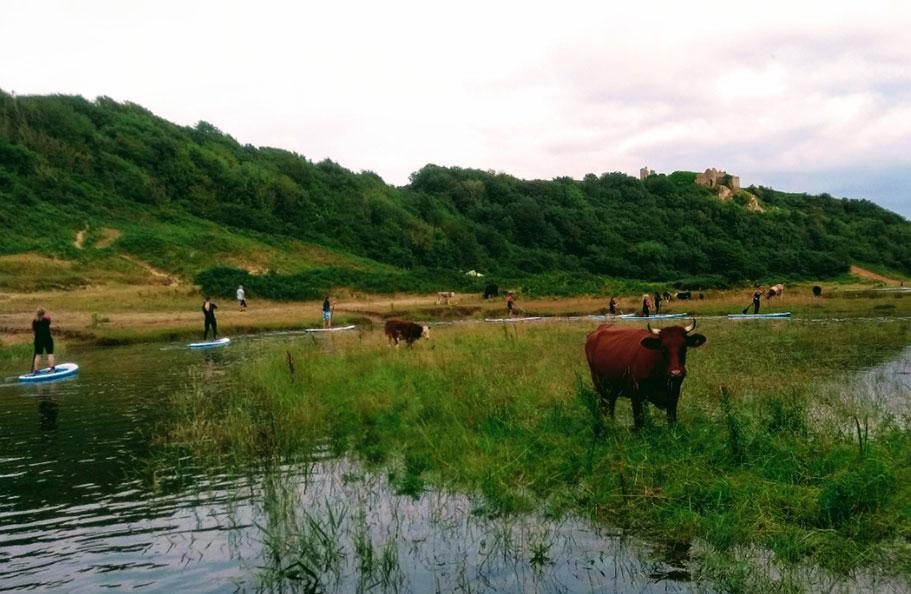 Three Cliffs River Paddle on the Gower Coast, South Wales