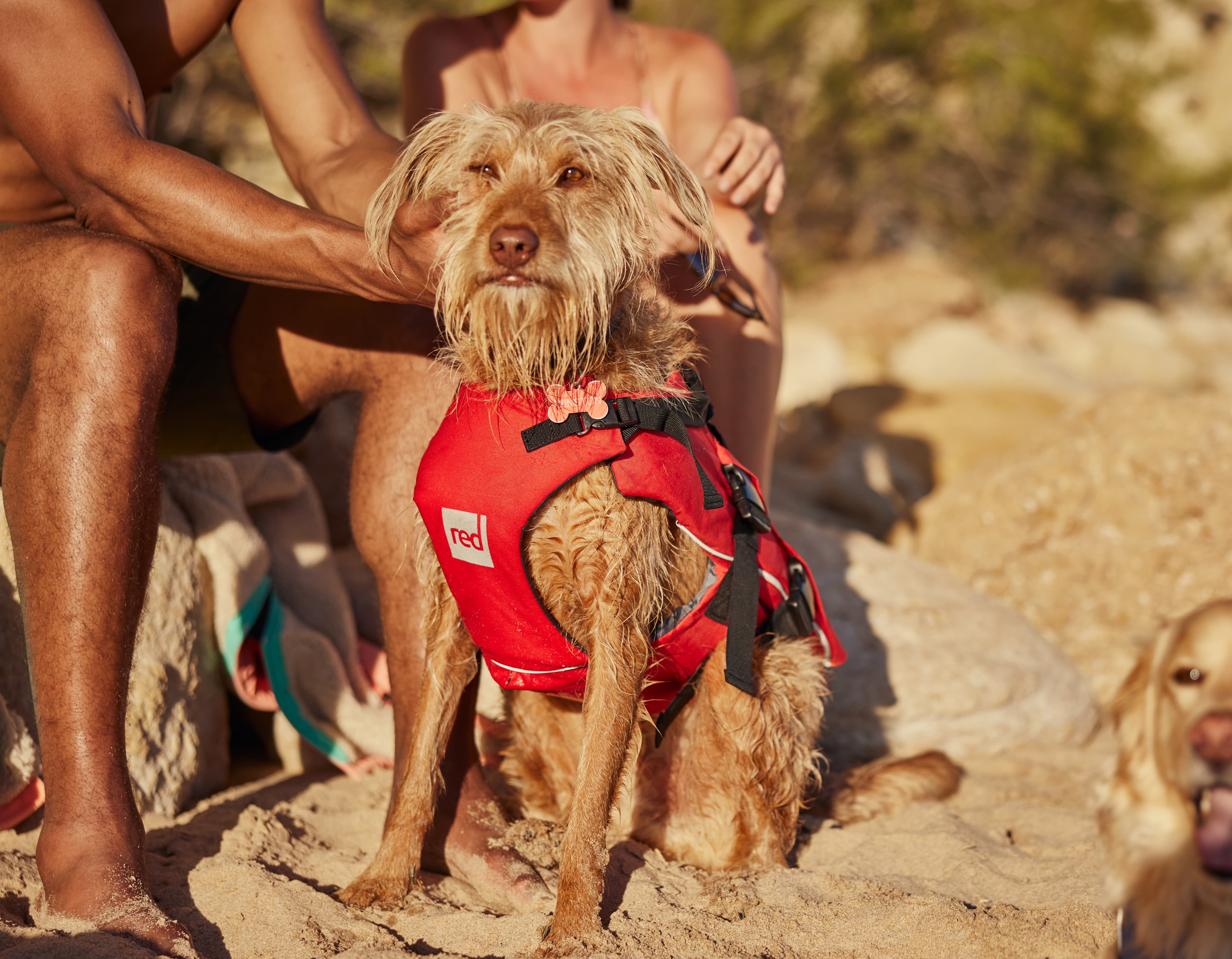 Red Equipment Dog Buoyancy Aid - Red – Red Equipment USA